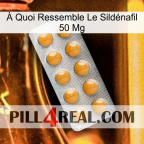 À Quoi Ressemble Le Sildénafil 50 Mg levitra1